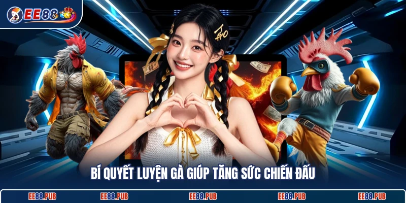 Bí quyết luyện gà giúp tăng sức chiến đấu