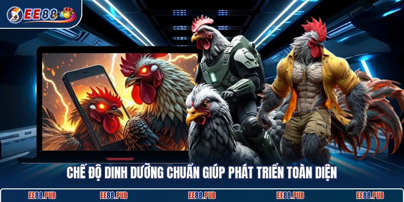 Chế độ dinh dưỡng chuẩn giúp phát triển toàn diện