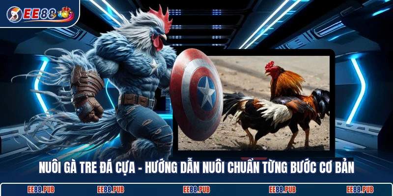 Nuôi Gà Tre Đá Cựa